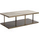 Kamali 60 X 30 inch Matte / Antique Gold Coffee Table